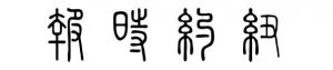 The New York Times Official Digest in Chinese